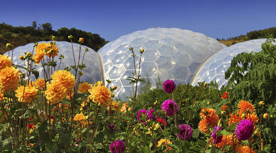 cornwall eden project				